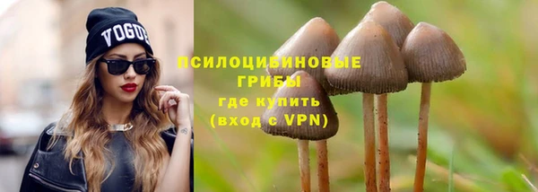 бошки Гусь-Хрустальный