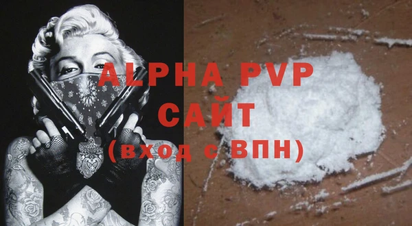 крисы Гусев