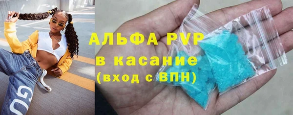 шишки Новокубанск